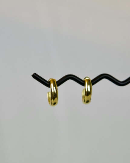 Leda Σκουλαρίκια Χρυσά