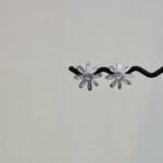 Fish Σκουλαρίκια Ασήμι