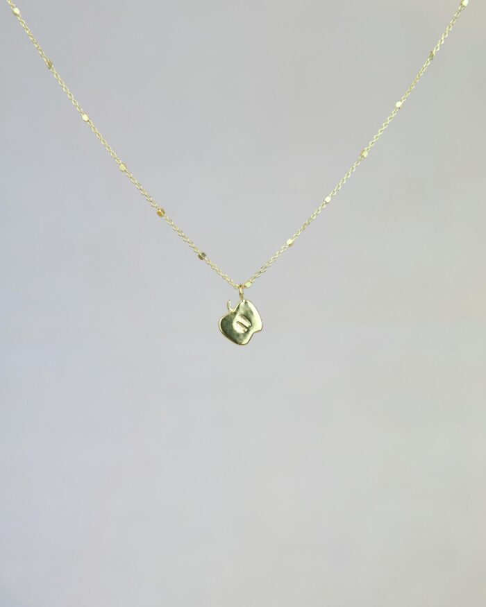 Red Apple Κολιέ Χρυσό